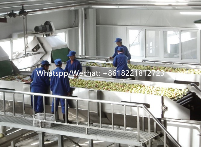 Commercial apple juice maker/cashew apple juice extraction machine/fruit apple juice press concentrate production line