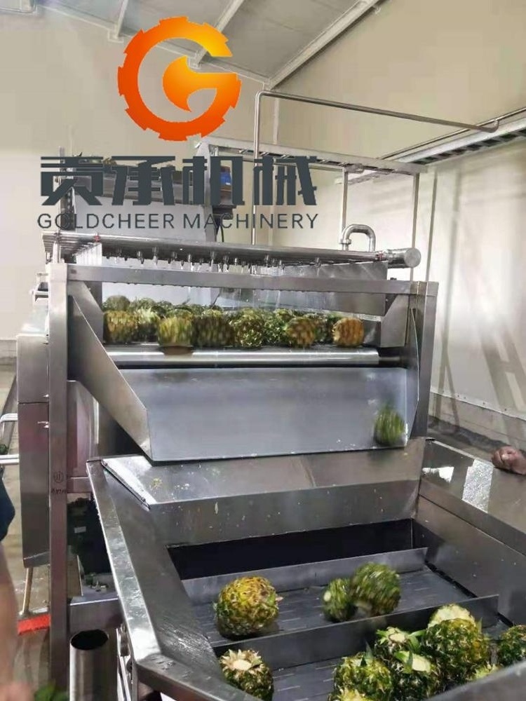 Industrial fruit pineapple juice concentrate pineapple puree production line equipment machinery