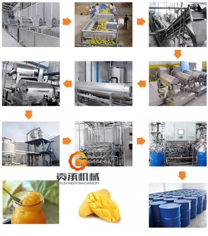 Now you have a renewed orange juicer apple pear pineapple orange fruit grape passion juice processing plant