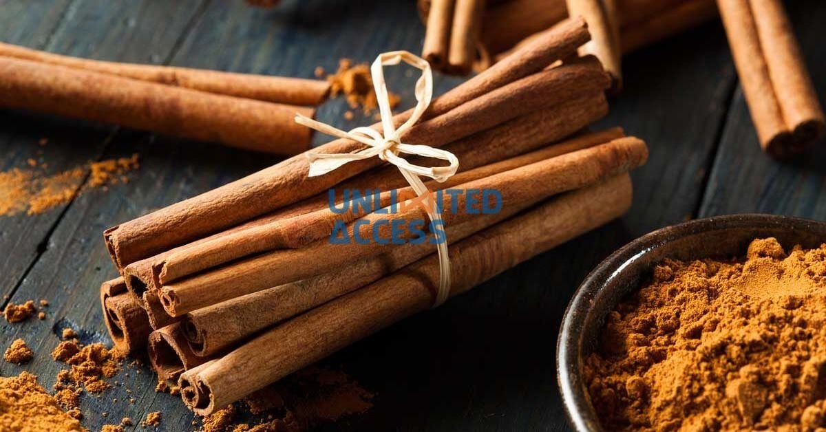 High Quality Herbs and Spices Food Ingredient Vietnamese Cinnamon Stick