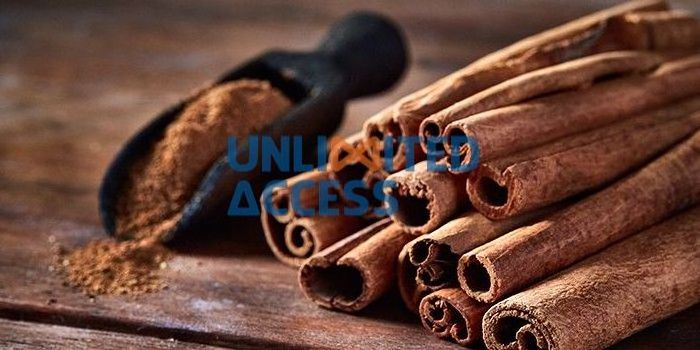 High Quality Herbs and Spices Food Ingredient Vietnamese Cinnamon Stick