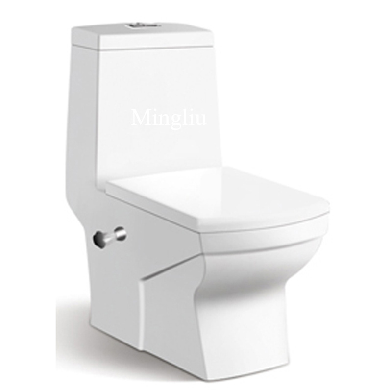 middle east bathroom ceramic bidet toilet