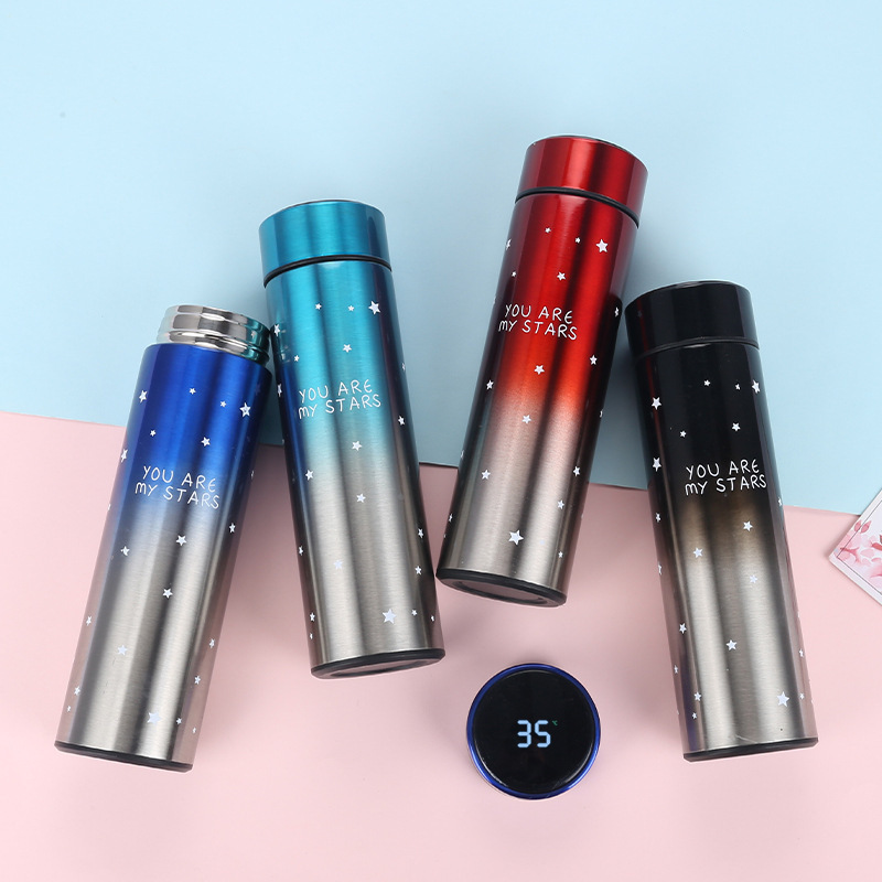 Stainless Steel Insulated Vacuum Flask Smart Water Drinking Bottle with Digital Led Temperature Display Lid Thermos