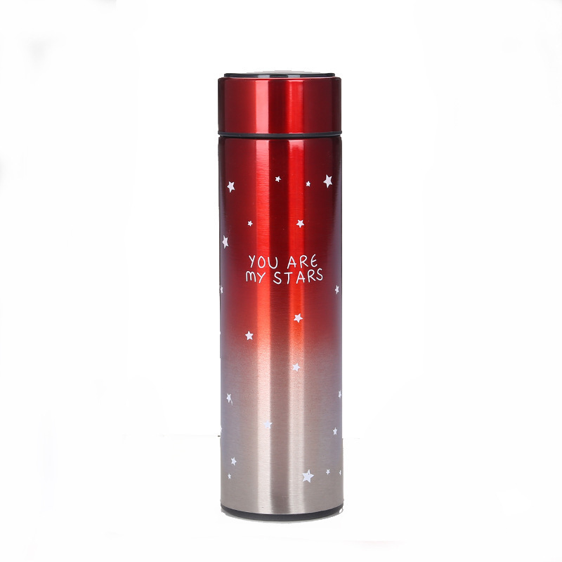 Stainless Steel Insulated Vacuum Flask Smart Water Drinking Bottle with Digital Led Temperature Display Lid Thermos