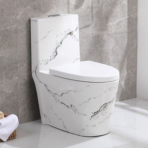 Floor Mounted Water Closet Ceramic Siphonic One Piece Toilet Bowl Bathroom Marble Colored Toilet WC