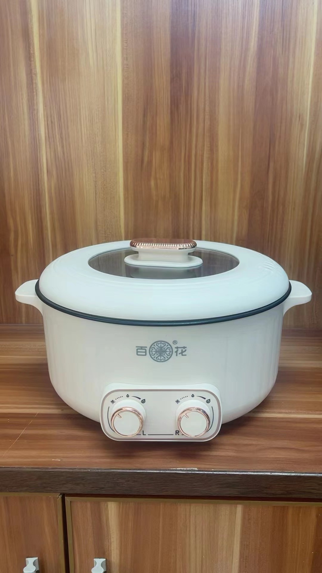 Best Selling High Quality Electric Hot Pot 6L Durable Electric Cooking Pot