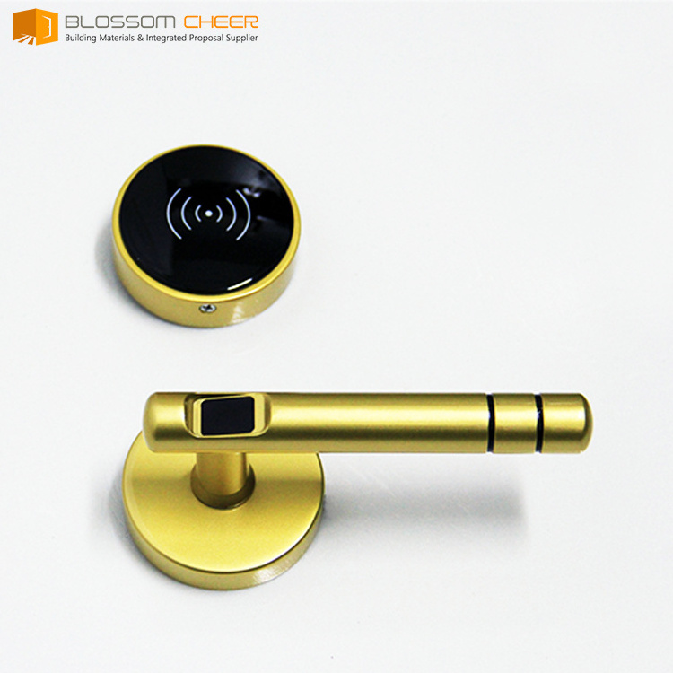 Classic Chrome Golden Lever Handles Door Tubular Lock Mortise Privacy Door Lock