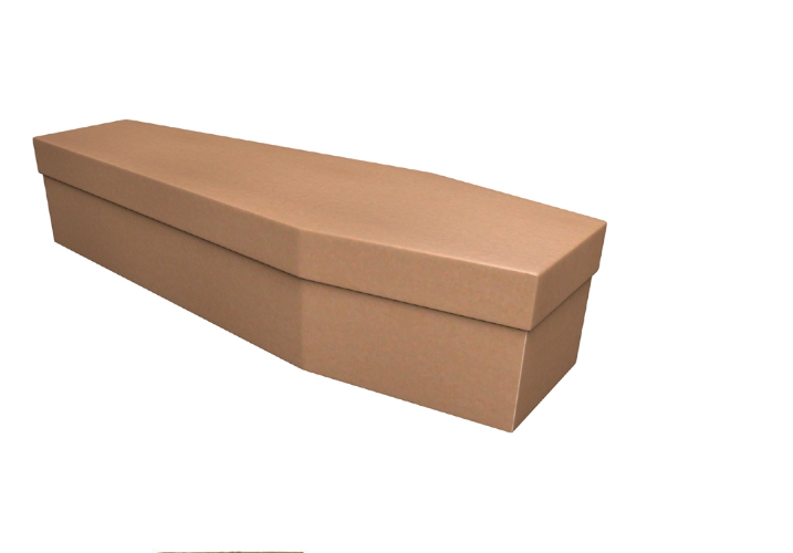 biodegradable Odd Shape Jewelry Gift Craft Wholesale paper Cardboard Paper Coffin Box