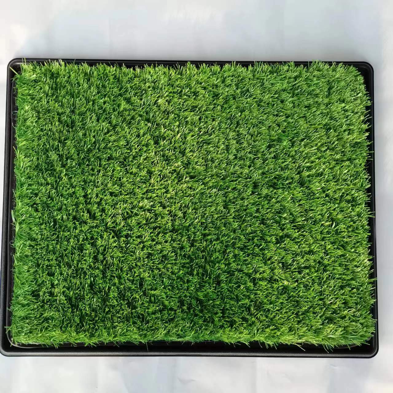 artificial grass for dogs , artificial grass for pets , dog grass