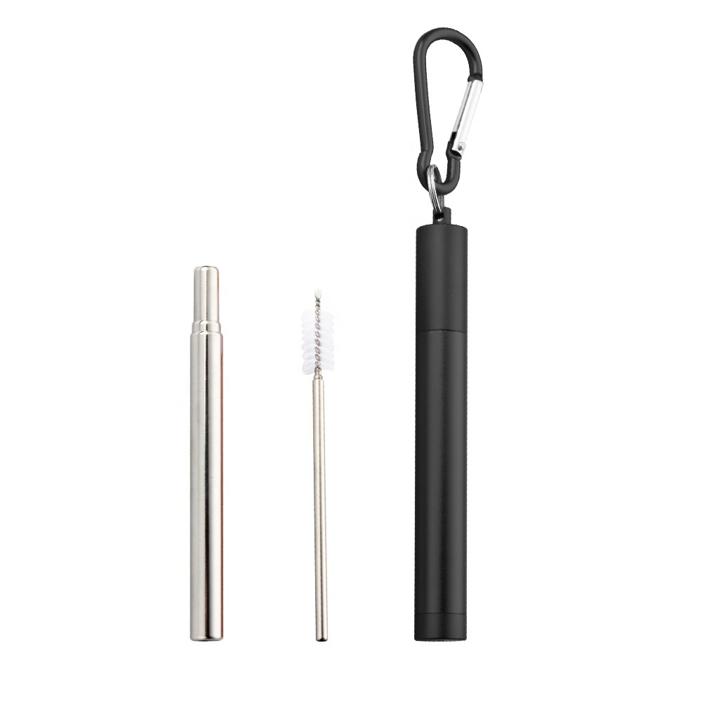 Customized foldable portable Stainless steel metal telescopic drinking straw with Collapsible case Key chain