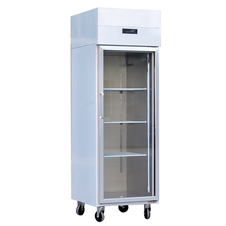 2024 New OEM Single glass door vegetable flower displays refrigerator For Home supermarket