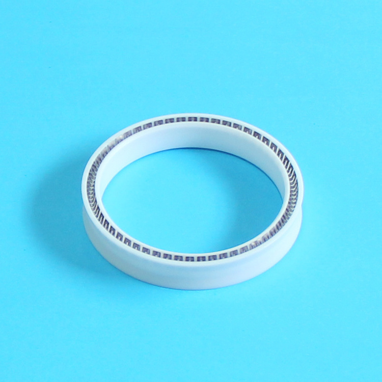 spring oil seal  for  Air Pump Valve ptfe piston seals Compressor spring seal