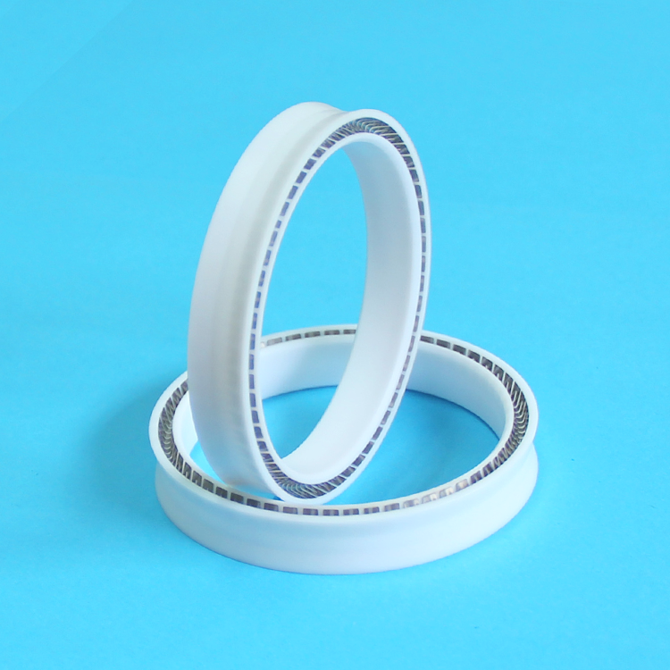 spring oil seal  for  Air Pump Valve ptfe piston seals Compressor spring seal