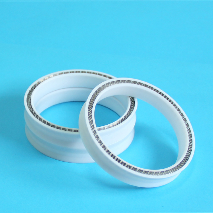 spring oil seal  for  Air Pump Valve ptfe piston seals Compressor spring seal