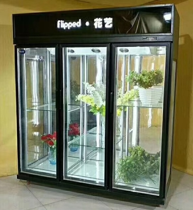 Luxury flower shop display fridge Air Cooler refrigerator for flowers