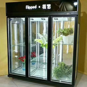 Luxury flower shop display fridge Air Cooler refrigerator for flowers