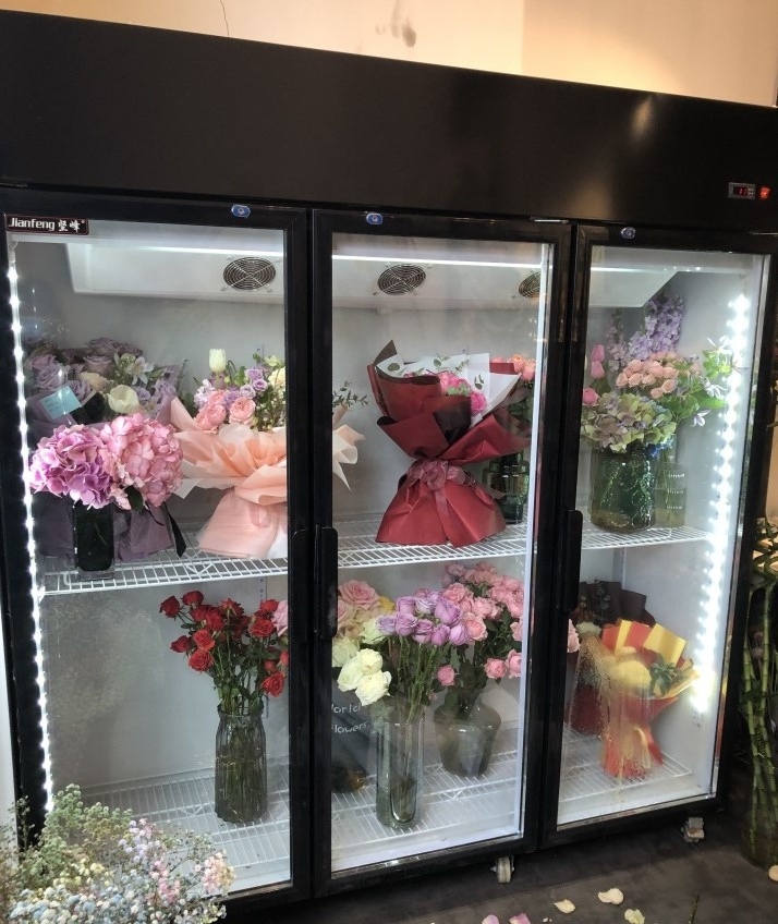 Luxury flower shop display fridge Air Cooler refrigerator for flowers