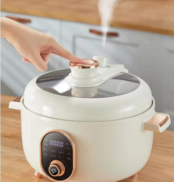 New releases 2024  home kitchen high quality cooking appliance electric pressure cooker