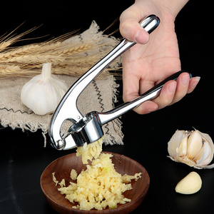 Professional Kitchen Gadgets Handheld Squeezer Zinc Alloy Pressed Garlic Chopper Manual Stainless Steel Garlic Press