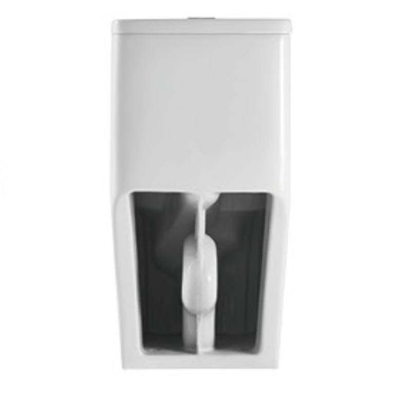 One-piece Siphonic Elongated S-trap Ceramic White Dual Flushing Jet Water Closet Siphon Toilet