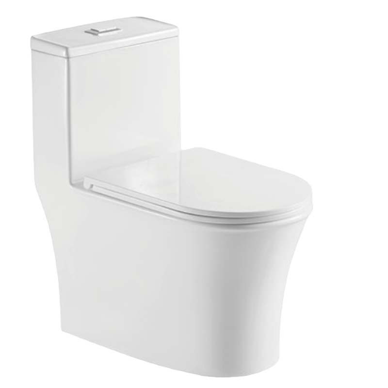 One-piece Siphonic Elongated S-trap Ceramic White Dual Flushing Jet Water Closet Siphon Toilet