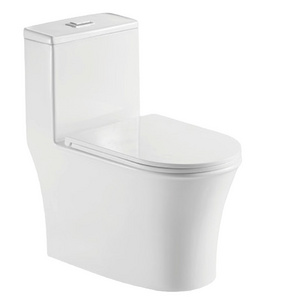 One-piece Siphonic Elongated S-trap Ceramic White Dual Flushing Jet Water Closet Siphon Toilet