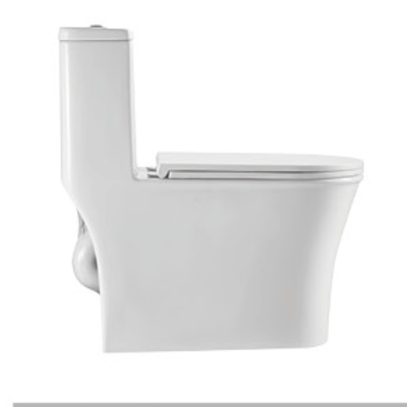 One-piece Siphonic Elongated S-trap Ceramic White Dual Flushing Jet Water Closet Siphon Toilet