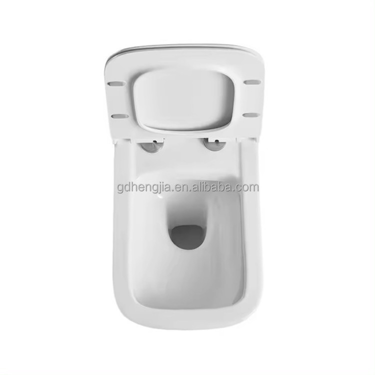 Export to Africa and the Middle East Project ceramic sanitary ware wc wall mounted toilets bowl rimless flushing  hung wc toilet