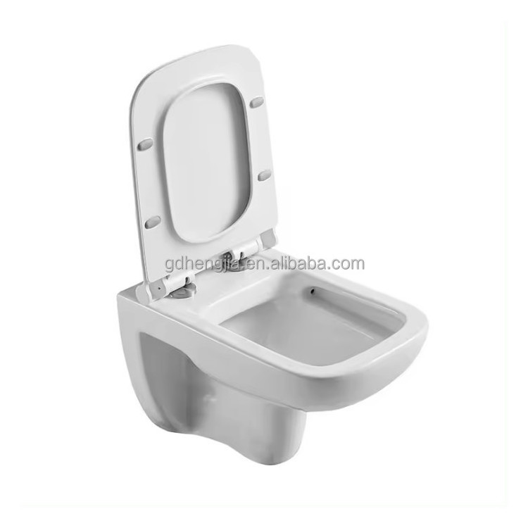 Export to Africa and the Middle East Project ceramic sanitary ware wc wall mounted toilets bowl rimless flushing  hung wc toilet