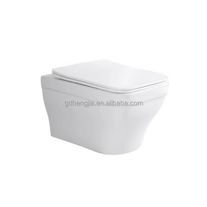 Export To Africa And The Middle East Project Design Toilet Bowls p-trap washdown bathroom save space rimless wall hung toilet