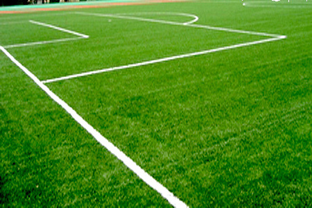 Spined yarn Synthetic Grass Used for Soccer Fields