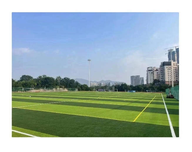 Factory Price Outdoor Green Lawn Carpet Artificial Grass Football Field Artificial Grass Turf For Soccer