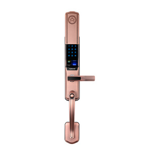 Huaruilock biometric smart electronic luxury Europea style digital fingerprint armored security door lock