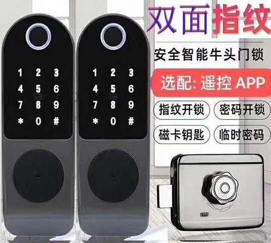 WiFi Biometric both sides Fingerprint cerraduras nfc  electronic exterior gate door lock with Tuya App TTlock