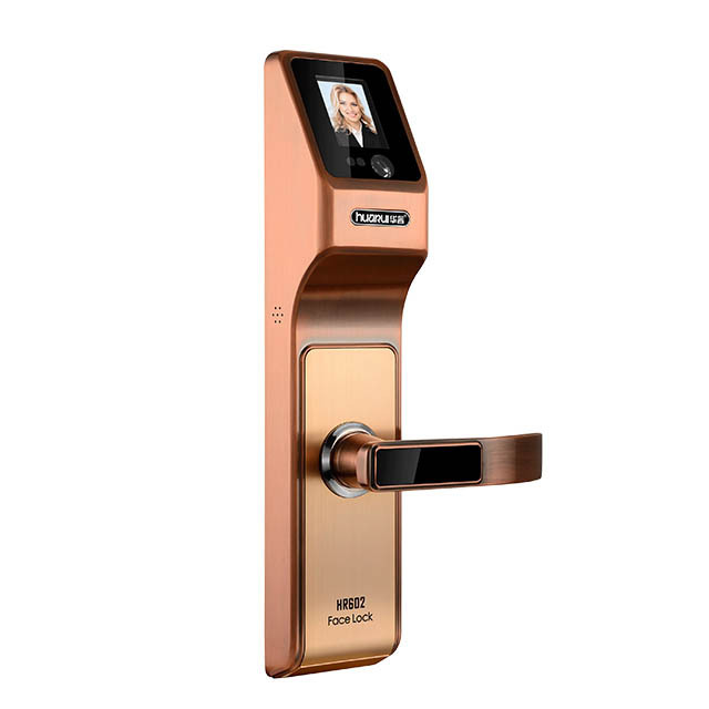 Huarui HR602  face door lock with eye scanner face smart lock