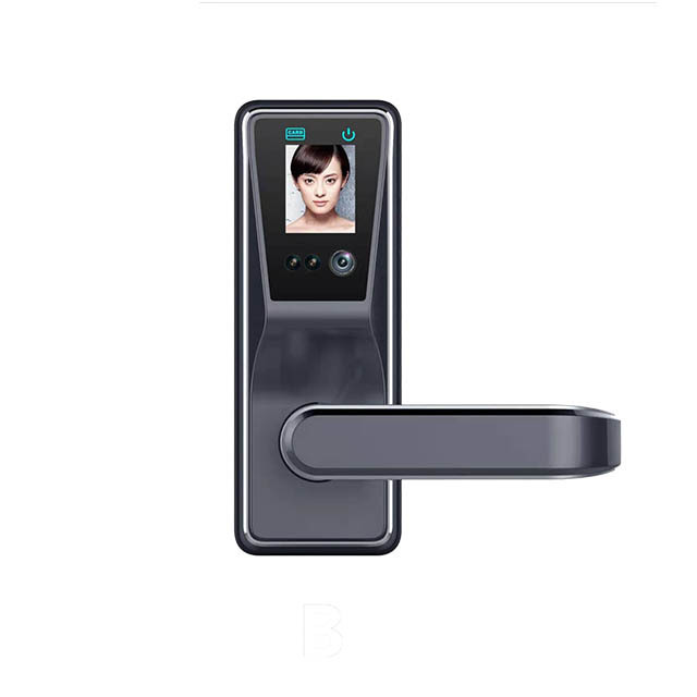 Huarui H6 smart biometric fingerprint home controller products door lock