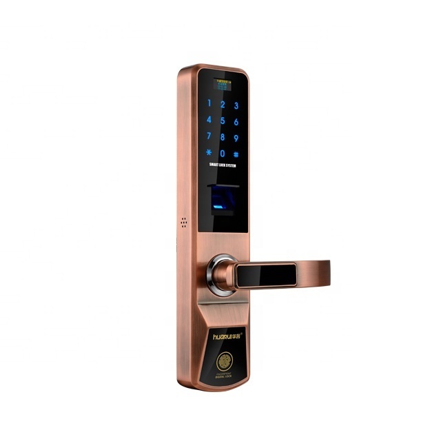 Huarui lock Professional Zink Alloy smart Face recognitio smart gate lock password login