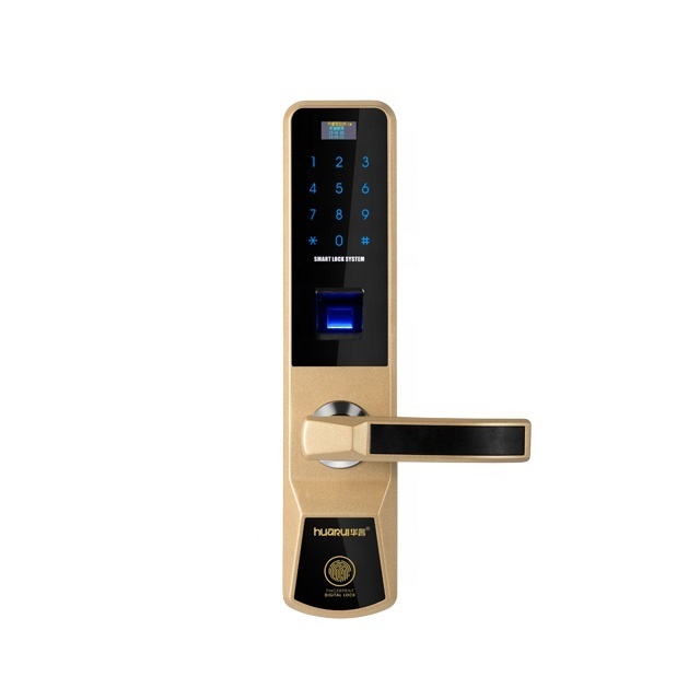 Huarui lock Professional Zink Alloy smart Face recognitio smart gate lock password login