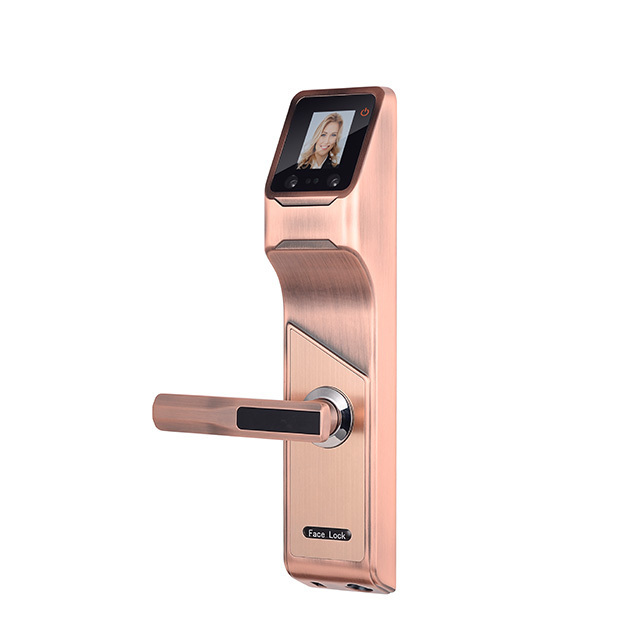 Huarui HR605 smart waterproof lock door, smart lock door outdoor, smart door lock for sliding glass door