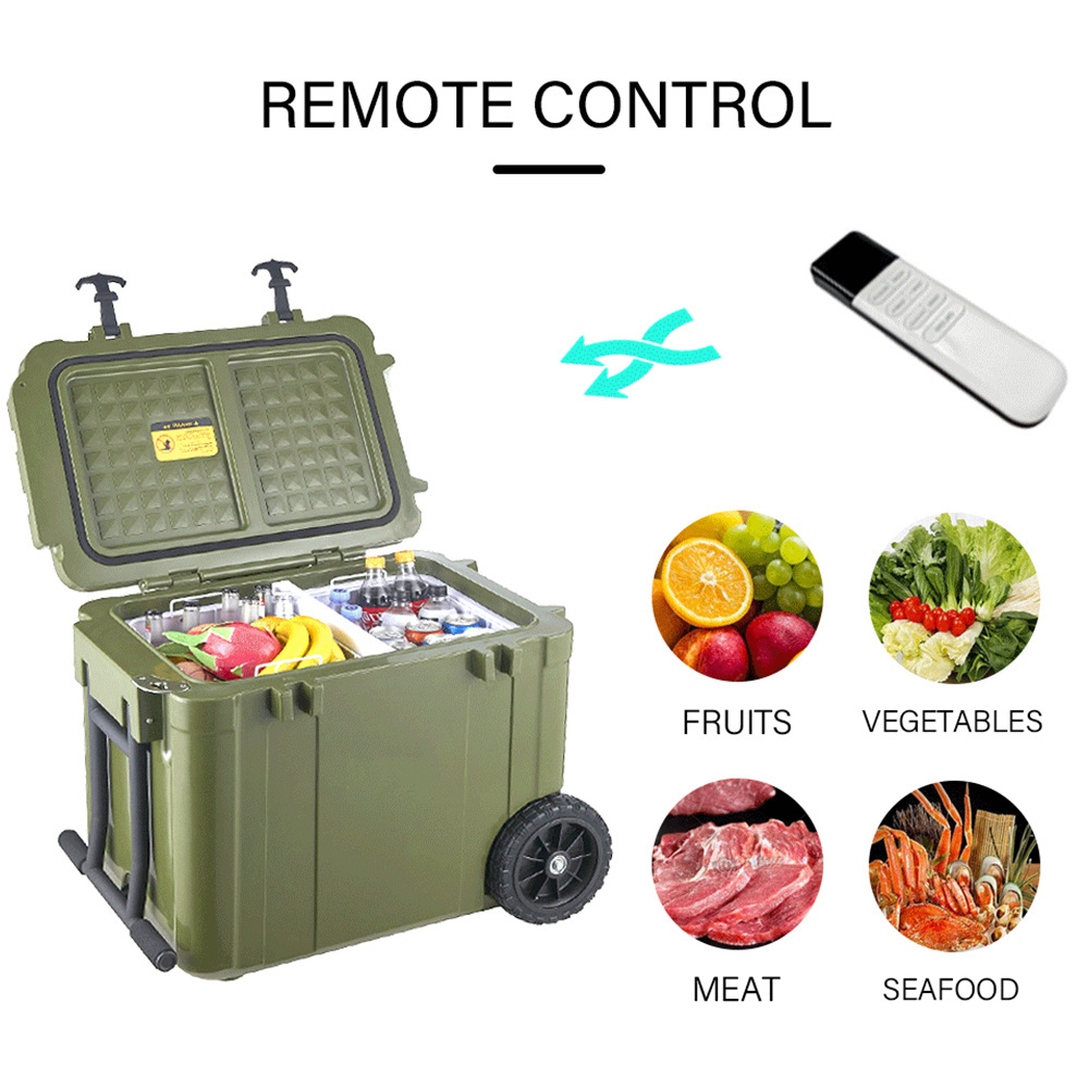 Family Travel Cost-effective Cool and Warm Cooler Box Car Refrigerator 45L/55L DC 12v Portable Car Fridge For Drinks