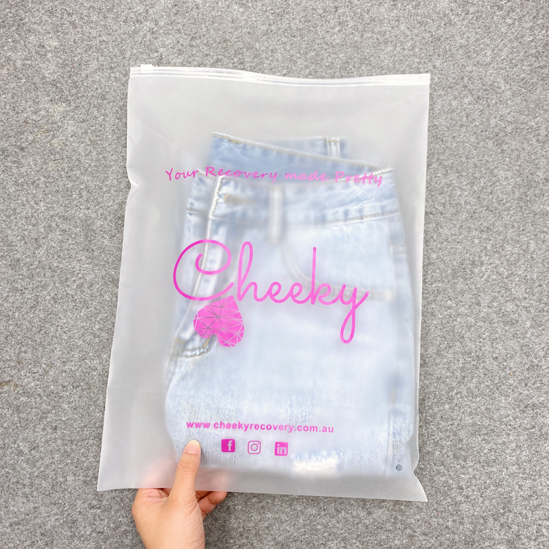 Custom Logo Matte Print Pe Zipper lock Poly Zipper Lock Frosted Plastic Packaging Bag For Clothes