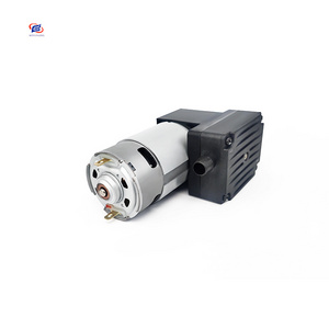 High quality 12V, 24V diaphragm vacuum pump portable electric mini air pump