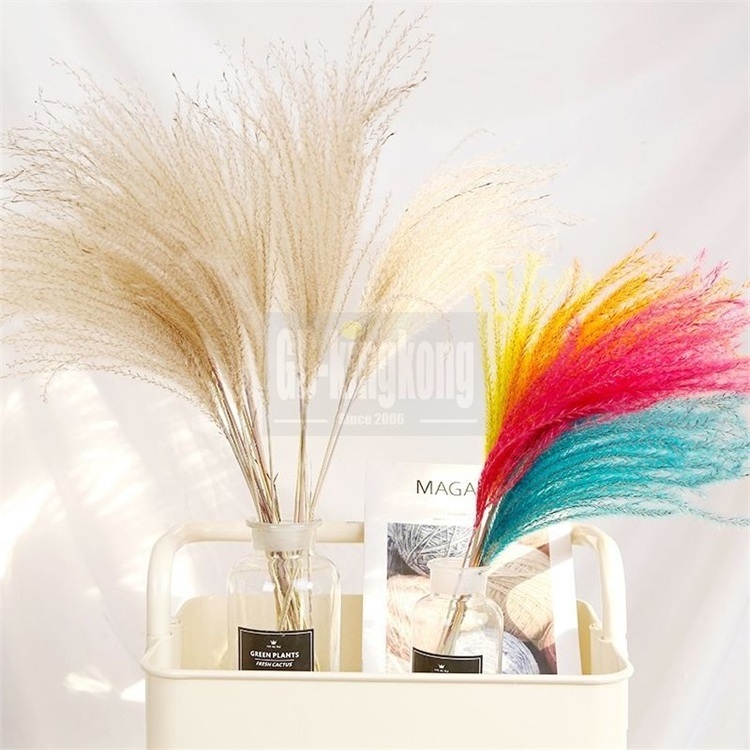 Gk factory supplier White pink artificial Pampas Grass For Home,Dried Pampas Grass