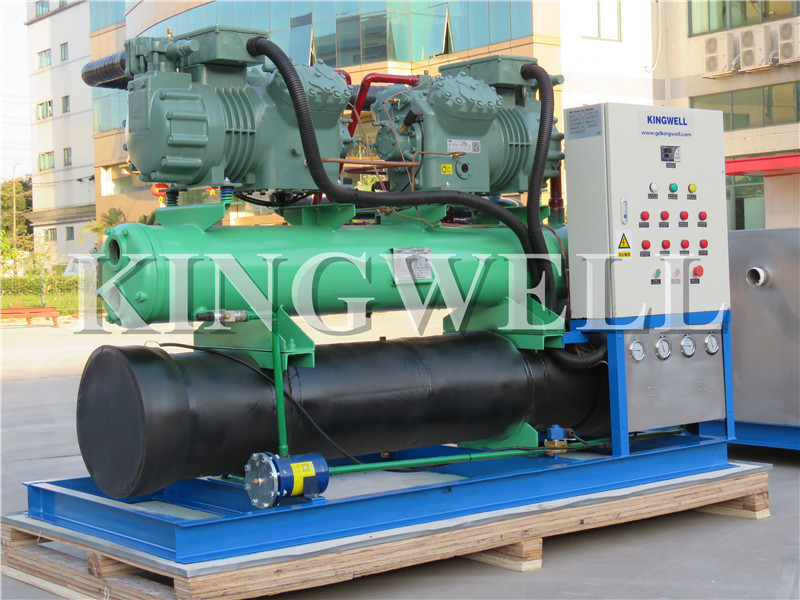 Kingwell 25 kg 1 2 4 5 10 15 Ton Bloc de Glace Industrial Ice Block Making Machine to Africa