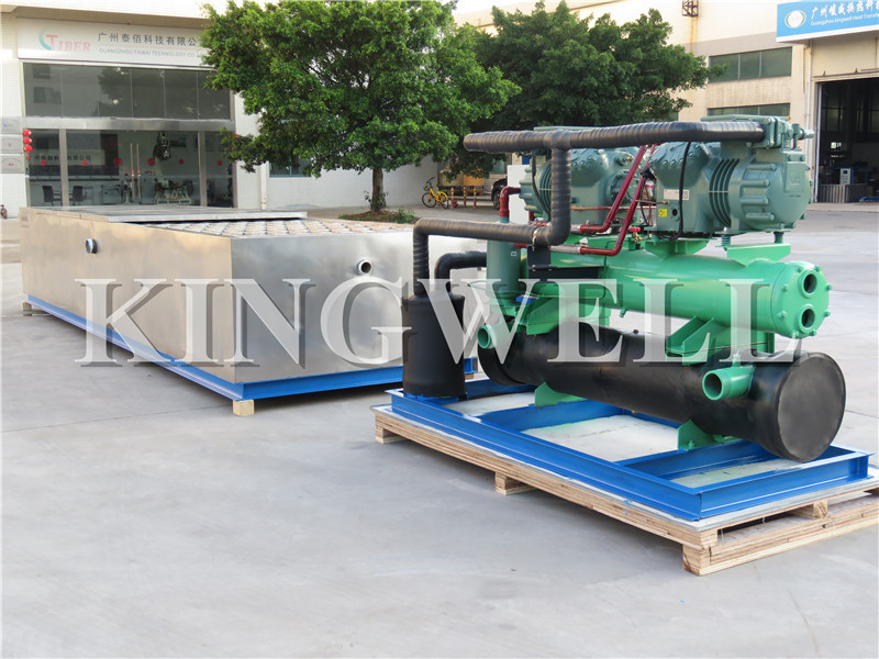 Kingwell 25 kg 1 2 4 5 10 15 Ton Bloc de Glace Industrial Ice Block Making Machine to Africa