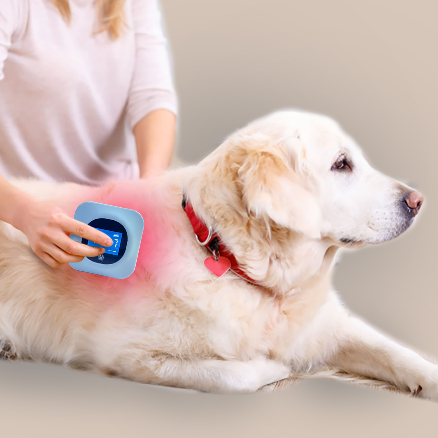 Manufacturer Handheld Veterinary Cold Laser Therapy for Pets Joint Pain Relief Horse Arthritis Class 3B