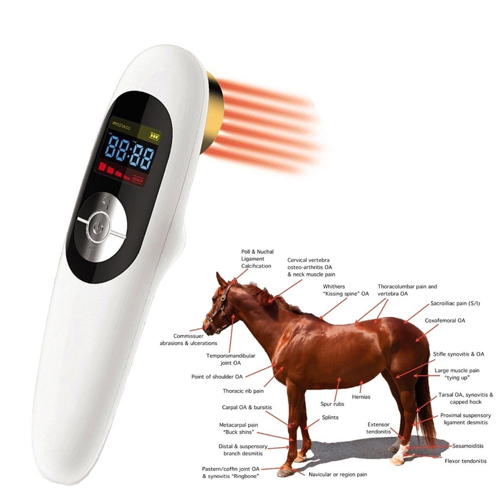 Clicnic Low Level Cold Laser Therapy Veterinary Pain Relief Wound Healing lllt Physiotherapy Equipment