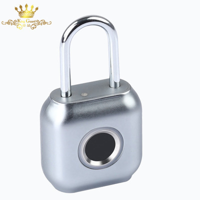 Smart padlock waterproof and anti-theft travel luggage locker door drawer file cabinet fingerprint lock