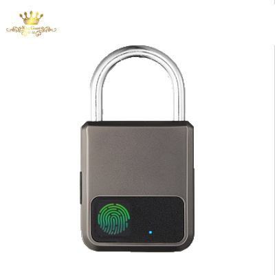 Smart fingerprint padlock cabinet electronic lock waterproof anti-theft locker luggage padlock