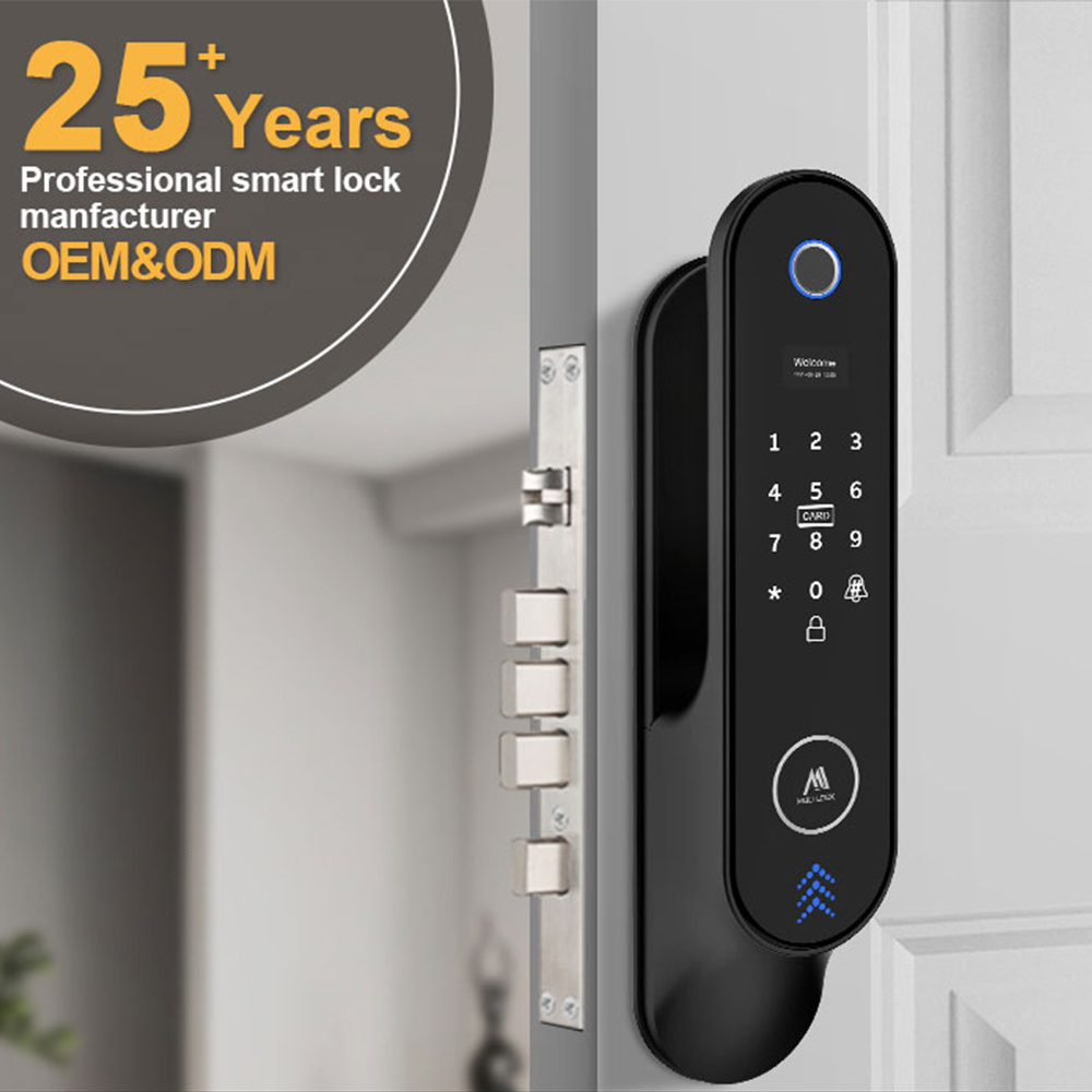 Smart Lock Sliding Glass Door Tuya APP Wifi Fingerprint Electronic Key Smart Lock For Front Door